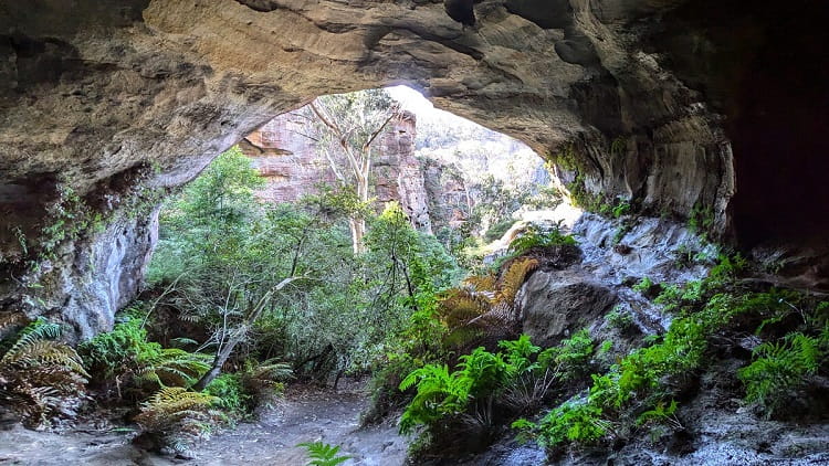 Cox's Cave Circuit in Mount Victoria (Hidden Gem)