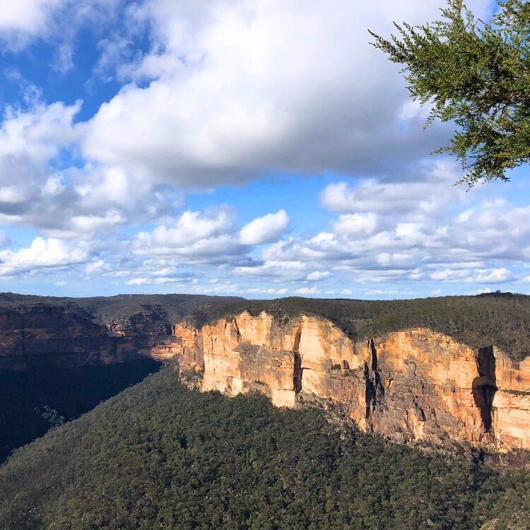 Views from Evans Lookout
